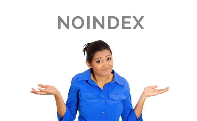 Why Noindex?