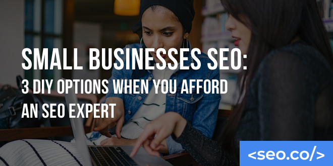 Small Businesses SEO: 3 DIY Options When You Afford an SEO Expert