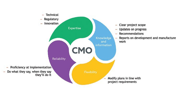 How to Find the Right Outsourced CMO