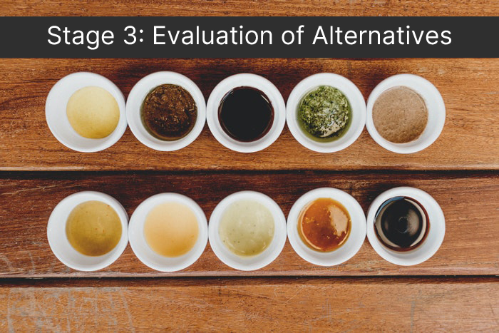 Stage 3: Evaluation of Alternatives