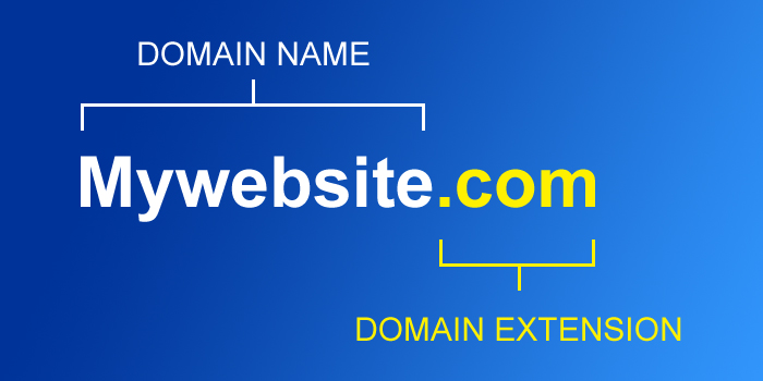 The Lowdown on Domain Names