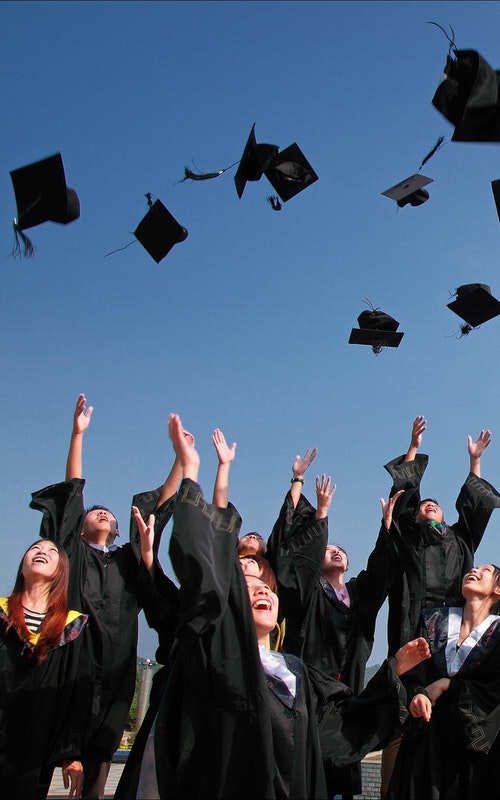 SEO Campaign for Universities