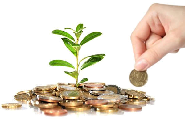 SEO for Savings and Loans Providers