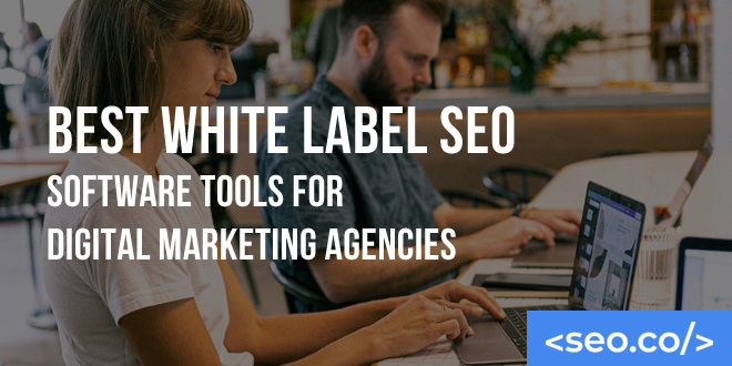 Best White Label SEO Software Tools for Digital Marketing Agencies
