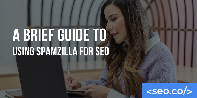 A Brief Guide To Using SpamZilla For SEO