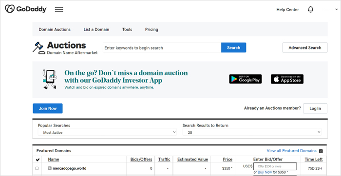 GoDaddy Domain Auction