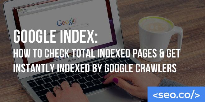 Google Index: How to Check Total Indexed Pages & Get Instantly Indexed by Google Crawlers
