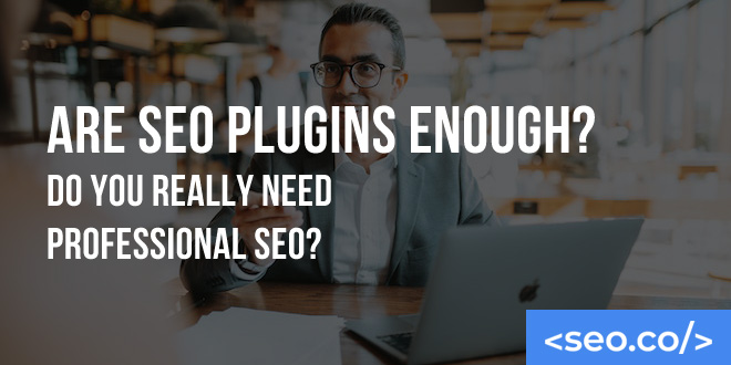 Are SEO Plugins Enough? Do You Really Need Professional SEO?